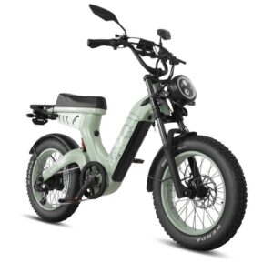 Vélo électrique Cyrusher Scout